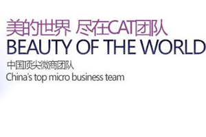 深圳婚慶公司制作德沃集團CAT團隊宣傳片